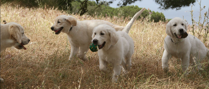 4130957677 b591c69084 o