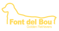 logofb a