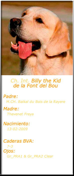 billy