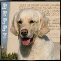 buffy menu 2