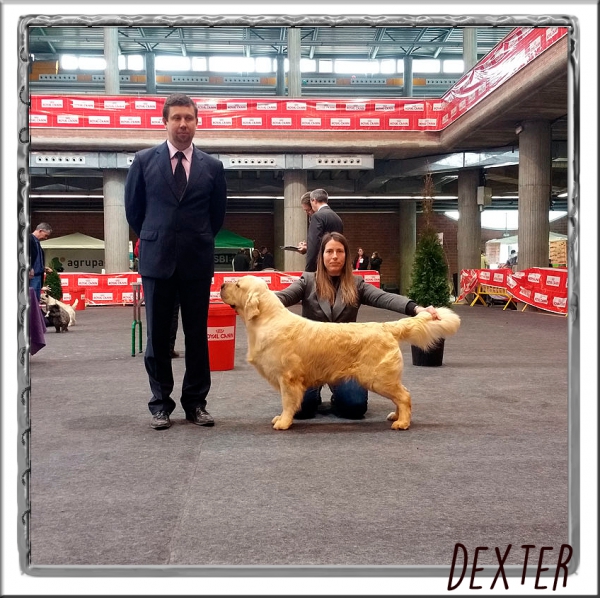 XIX Exposición Internacional Gerona 2015